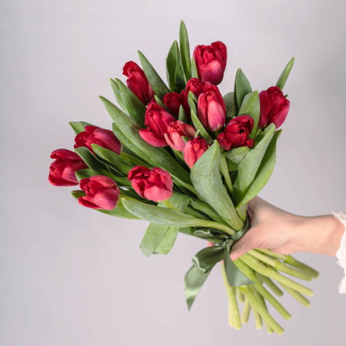 Тюльпаны красные 15 шт. с лентой (без упаковки) арт. 28774