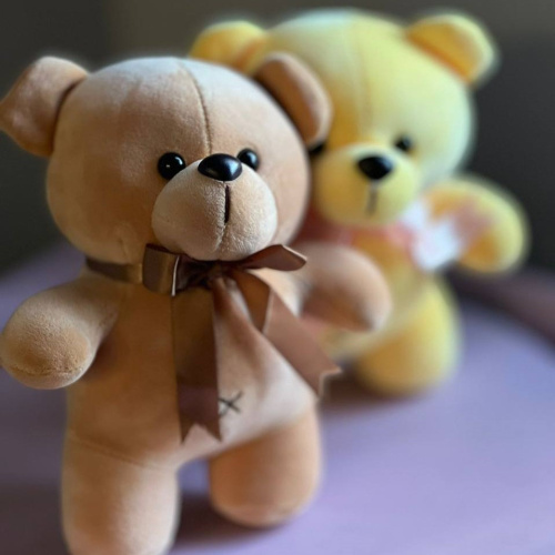 Игрушка Мишка цветной велюровый 24 см. арт. 41885