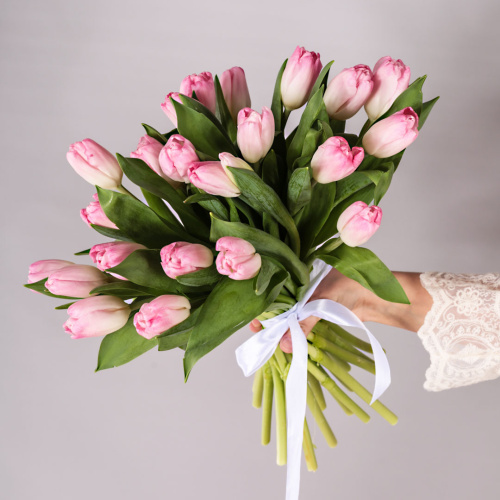 Розовые Тюльпаны 25 шт. МИКС с лентой (без упаковки) арт. 7338