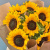 Букет из 9 Подсолнухов 35834 Букет из 9 Подсолнухов 35834