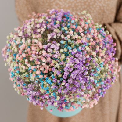 Коробка с цветной гипсофилой N 47195