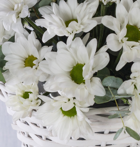 Корзина с хризантемой "Летнее настроение" N 36287