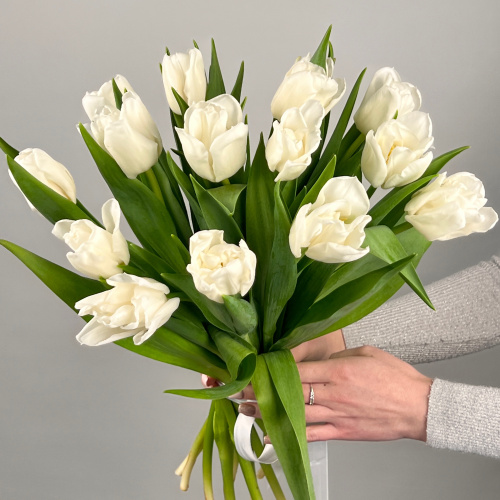 Букет из 15 пионовидных белых тюльпанов арт. 46325