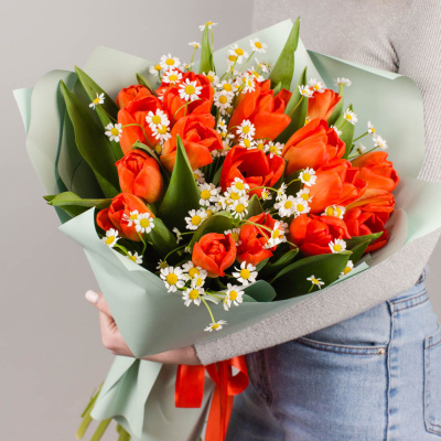 Букет из 19 алых тюльпанов с ромашками 46334