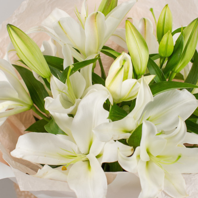Букет из белых лилий 50441