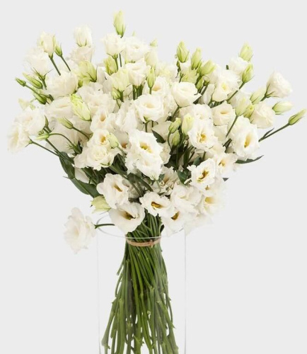 Букет из Эустом (Лизиатус) арт. 7342