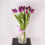 Тюльпаны фиолетовые 15 шт. (без упаковки) арт. 28774 Тюльпаны фиолетовые 15 шт. (без упаковки) арт. 28774