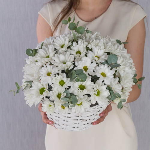 Корзина с хризантемой "Летнее настроение" N 36287