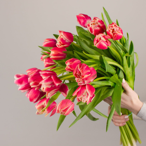 Букет из 15 пионовидных тюльпанов Колумбус арт. 46325