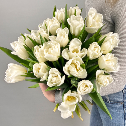Букет из 25 белых пионовидных тюльпанов под ленту арт. 46176