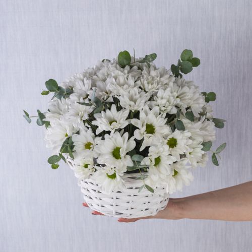 Корзина с хризантемой "Летнее настроение" N 36287