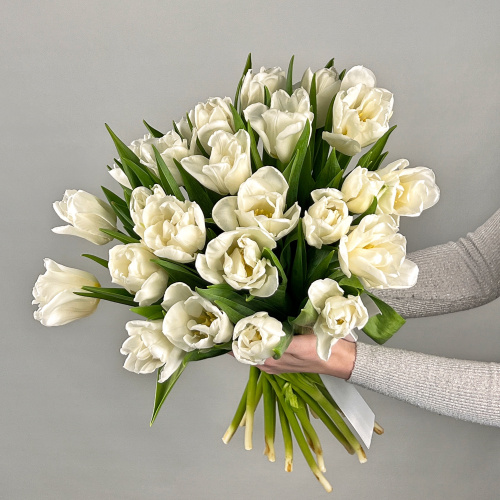 Букет из 25 белых пионовидных тюльпанов под ленту арт. 46176