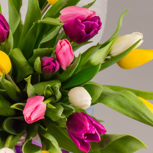 Тюльпаны 25 шт. МИКС (без упаковки) арт. 7338