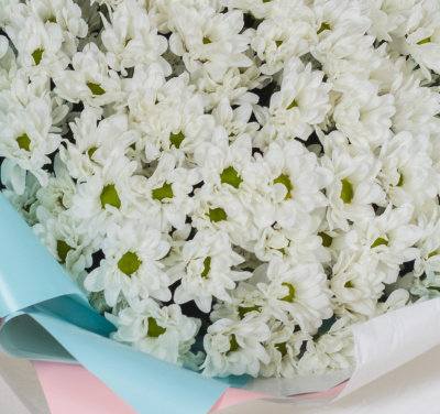 Букет-гигант из 15 хризантем 36151 Букет-гигант из 15 хризантем 36151