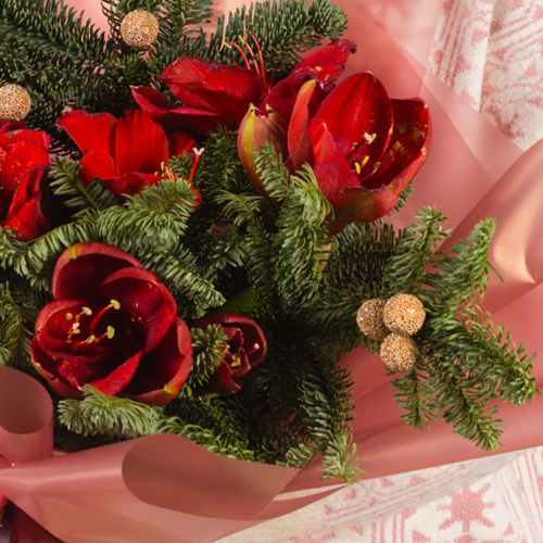 Букет с амариллисом и еловыми ветками "Волшебный" N 72277