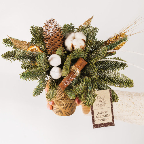 Стаканчик Уютный с шишками и елкой нобилис N 72235