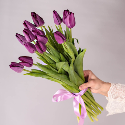 Тюльпаны фиолетовые 15 шт. (без упаковки) арт. 28774